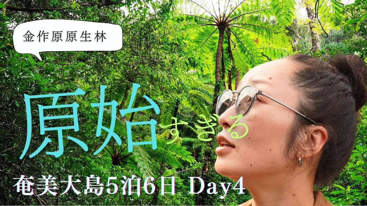 奄美大島【Vlog】5泊6日　DAY4　2025年3月