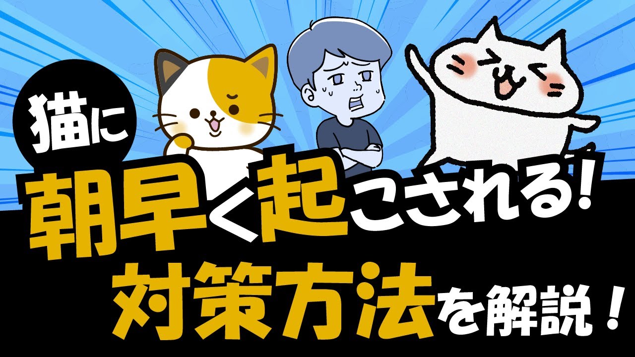 【必見】猫に早朝起こされて困っている時に試す6つの対策を解説