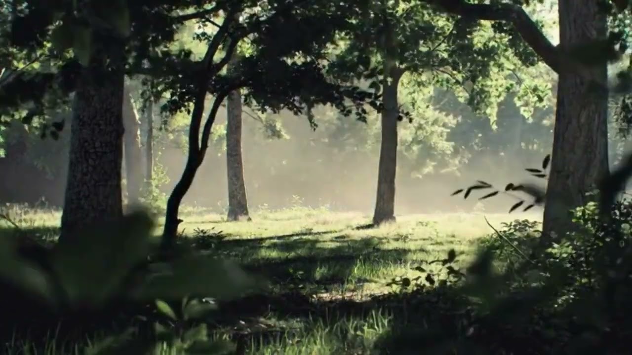 Peaceful Forest Ambience Relaxing Nature Sounds for Sleep, Study & Meditation | 30 MIN | Fast Asleep