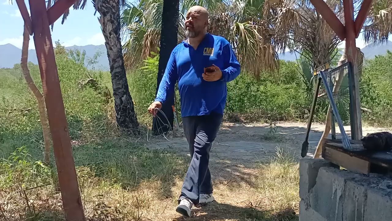 Nos vemos pronto 