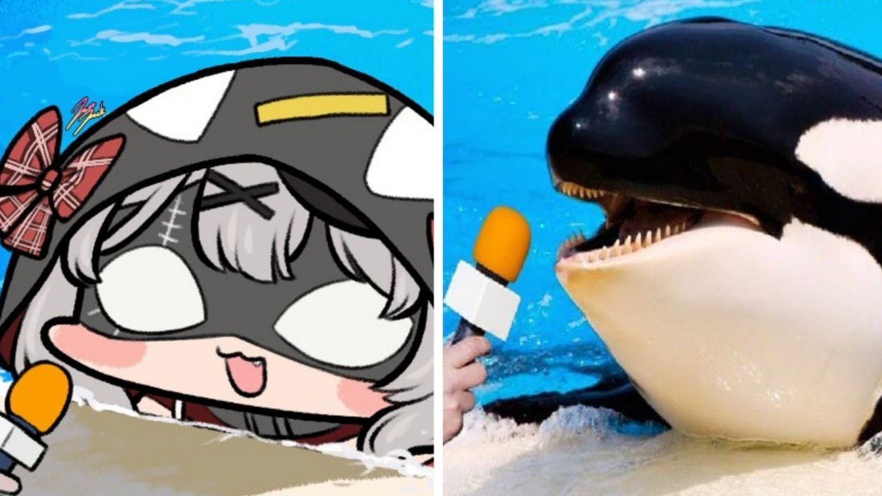 Random Chloe orca | Animal hololive