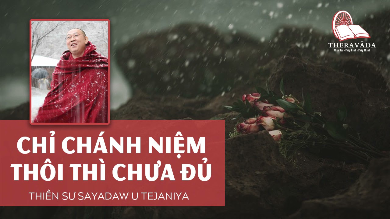 CHỈ CHÁNH NIỆM THÔI THÌ CHƯA ĐỦ | THIỀN SƯ SAYADAW U TEJANIYA