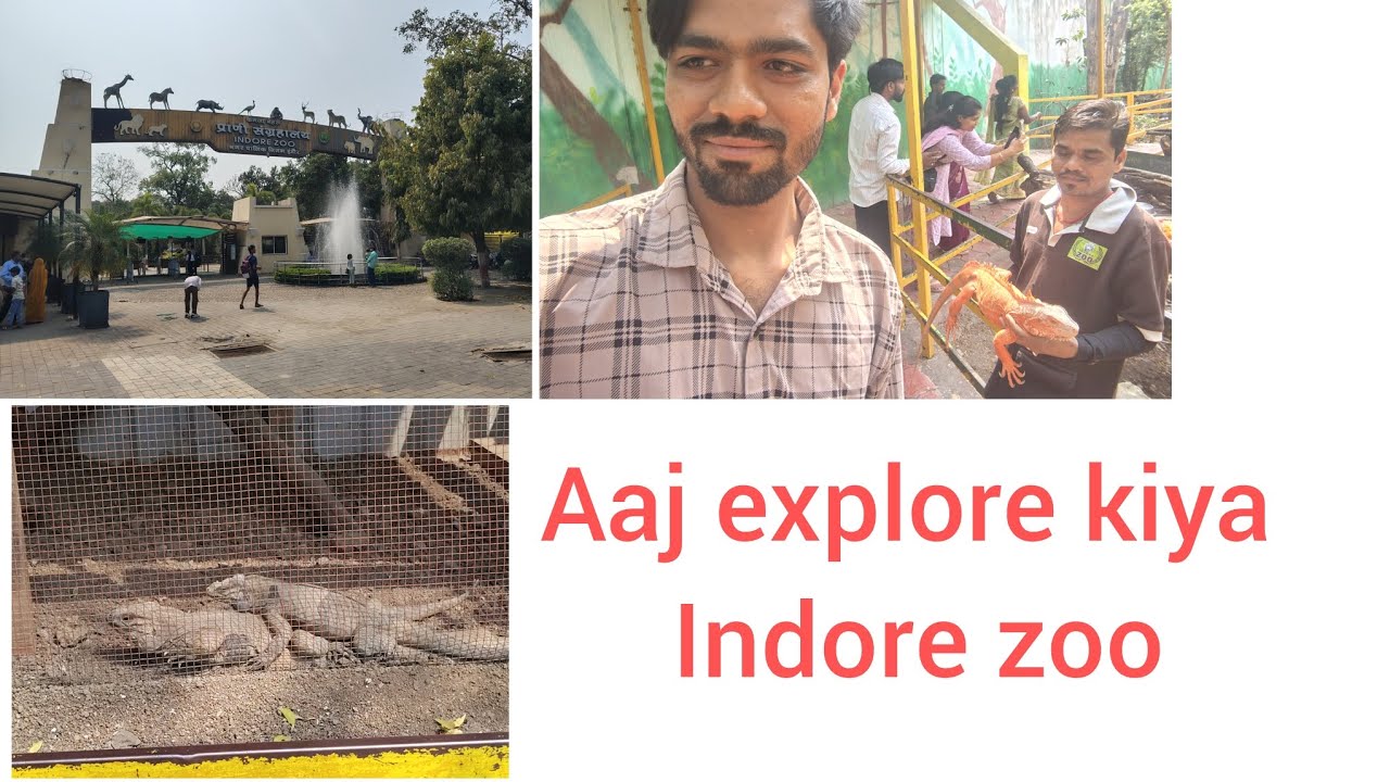 Pehli Baar Zoo Gaya 😱 | Kya Dekha Andar? #viralvideo #youtubevideos #youtube 