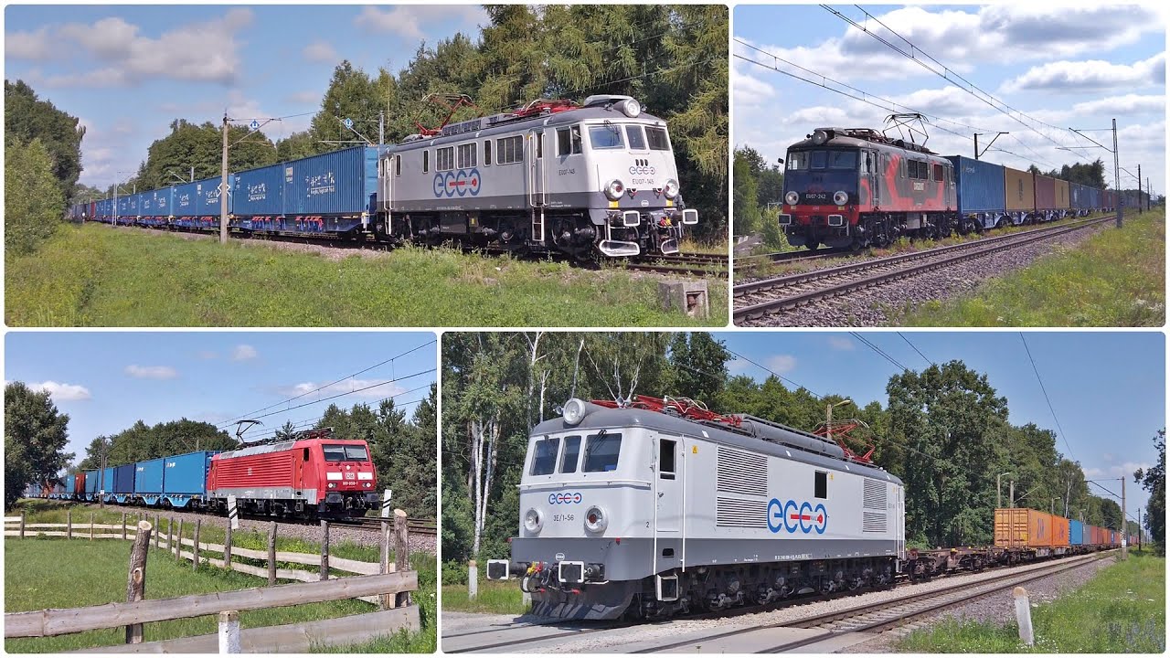 Esełkowe towarki [LK12]
