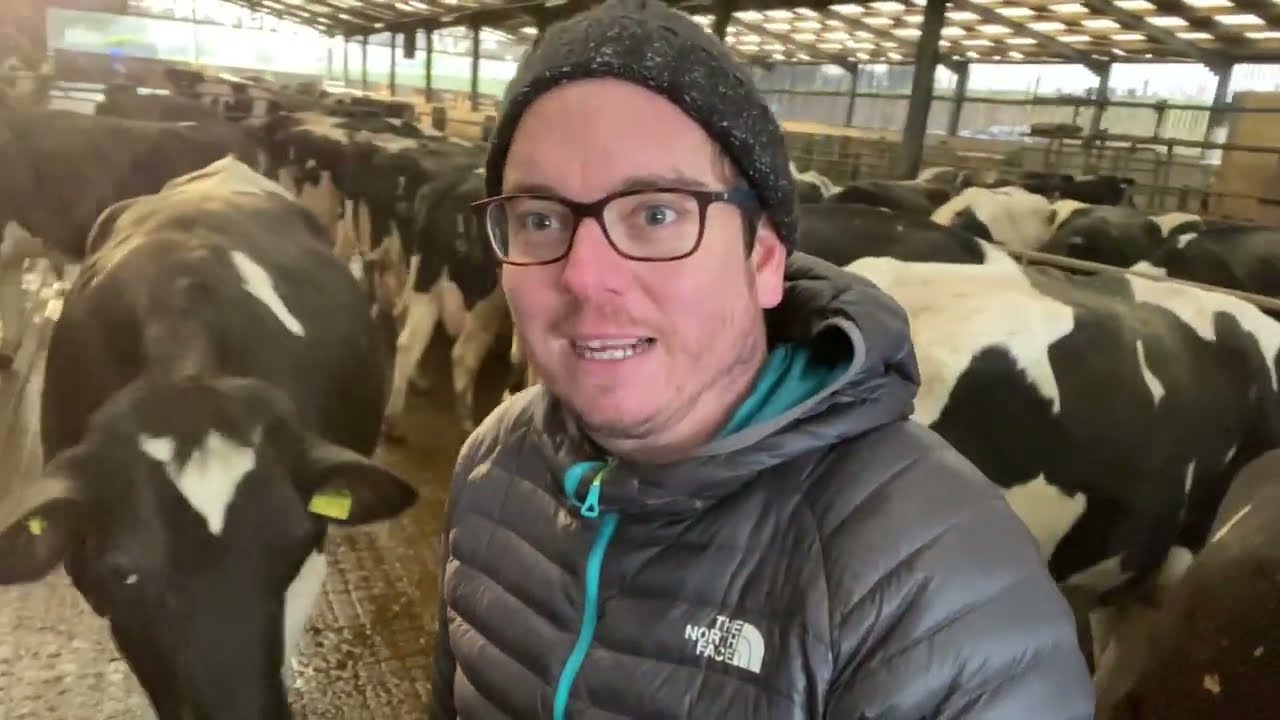 The First Year of Claydon Direct Drilling on a UK Dairy Farm in Wiltshire