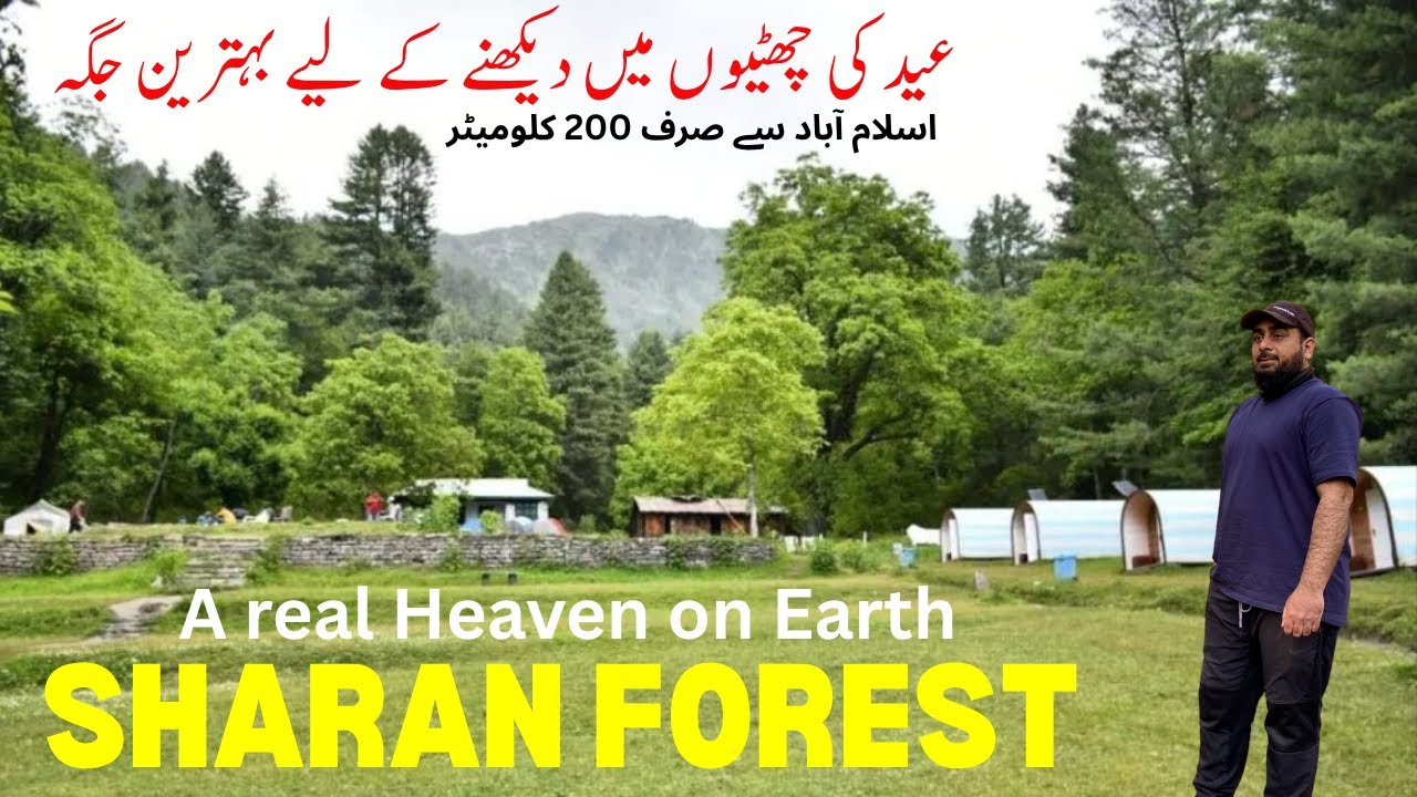 Sharan Forest | Off road Jeep Track | Kaghan Valley | Lahore to Sharan | Bike Tour