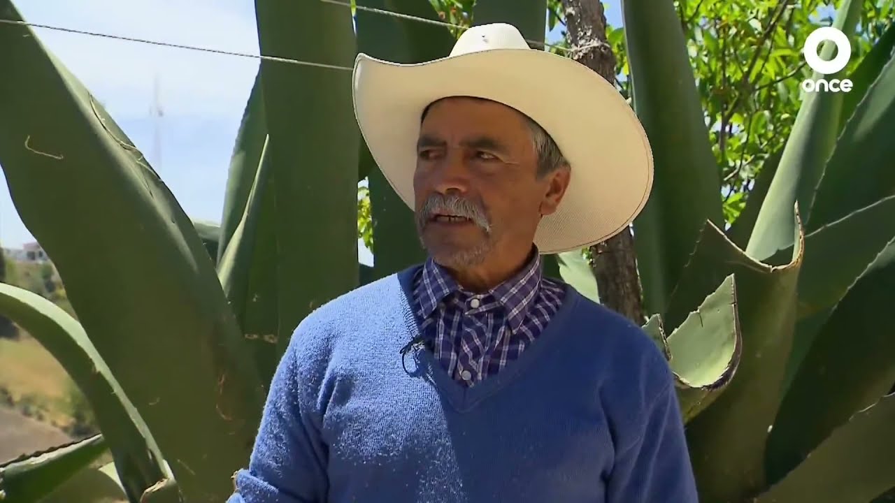 D Todo - Pulque: Bebida prehispánica (27/04/2022)