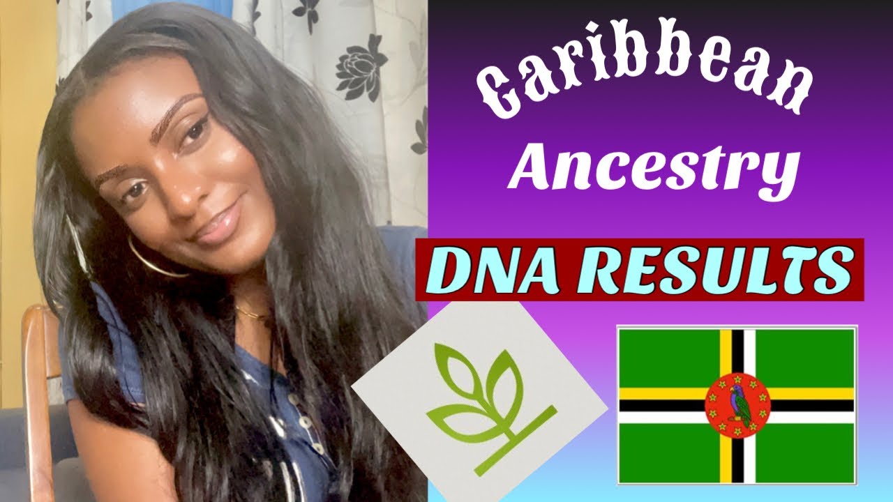 MY ANCESTRY DNA RESULTS. Caribbean/ West Indian/ Dominican.