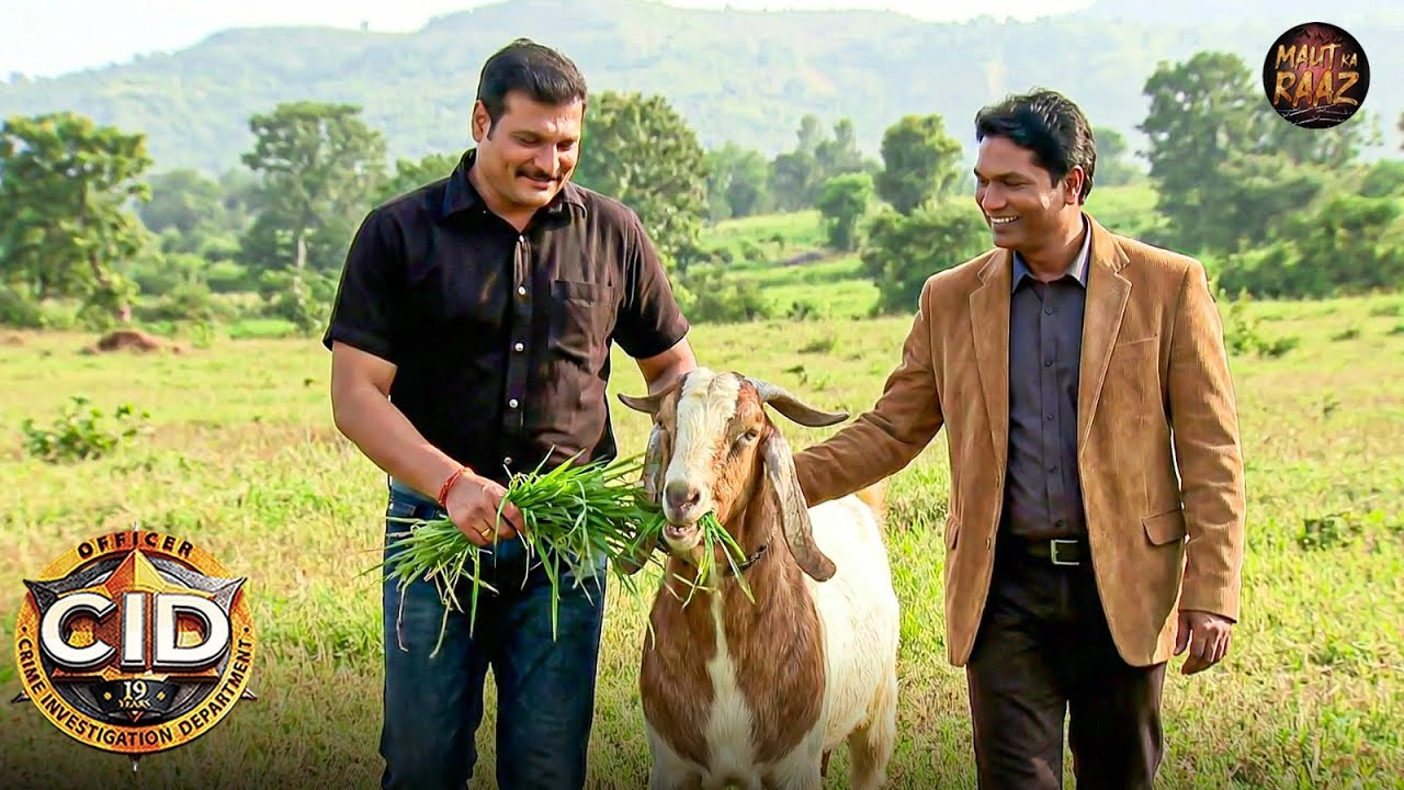 Abhijit और Daya कैसे एक Bakri के जरिये पकड़ेंगे कातिल ? | CID Special | New Episode 2026 | Crime Show