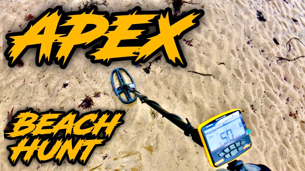 Metal Detecting at the Beach Garrett APEX