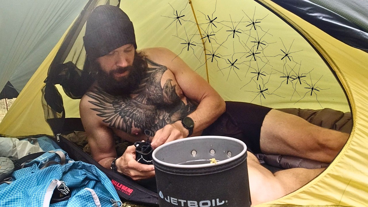 Solo Tent Camping in a Mosquito Swarm 🦟 Can't Even Step Outside! [Kungsleden Trail Chronicles Pt 4]