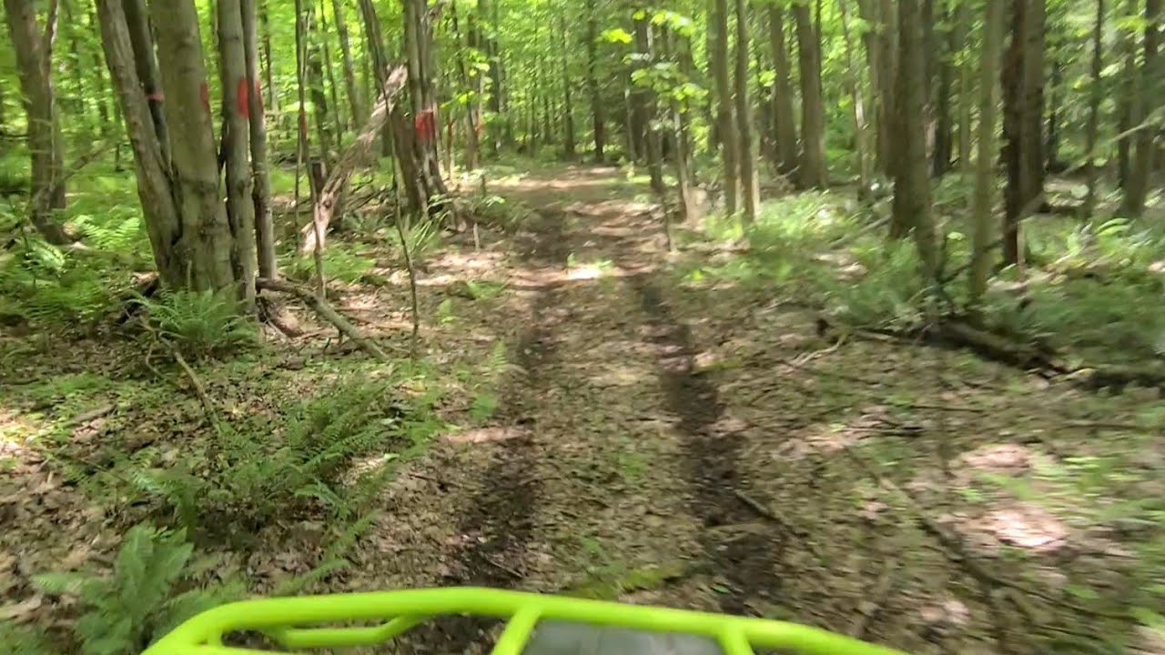Cutting ATV trails in the woods