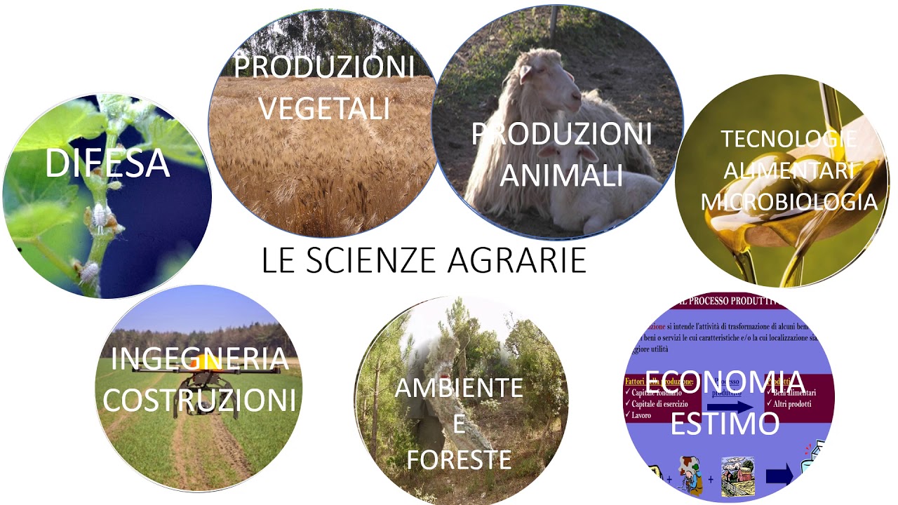 Cosa si studia ad Agraria