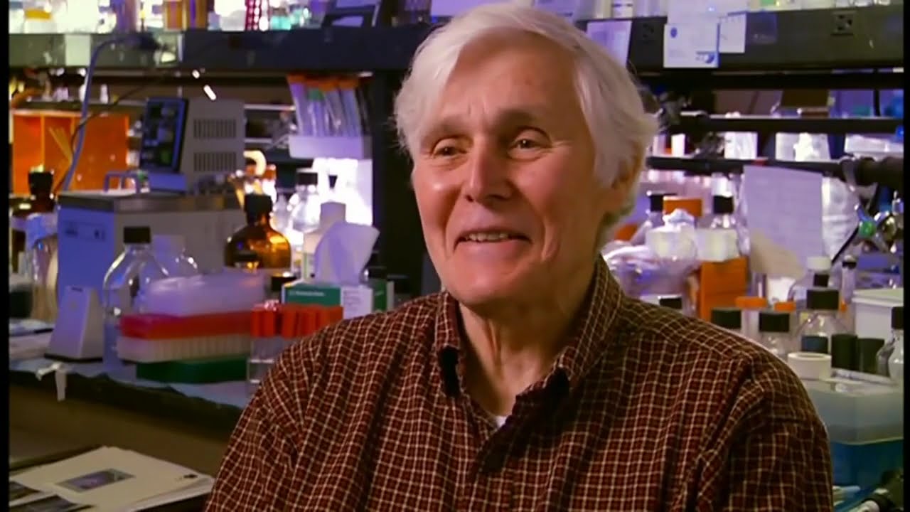 Carl Woese&rsquo;s Discovery in Biology's Greatest Moments with Bill Nye