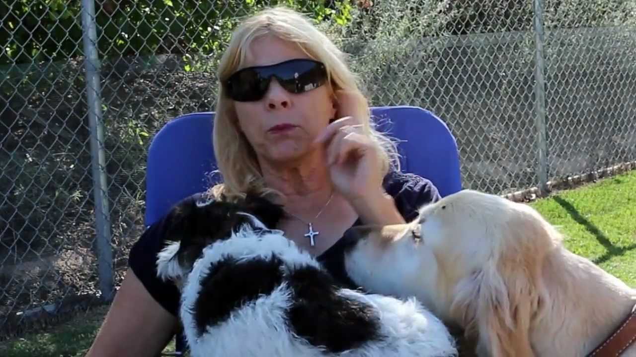 Tick-y dogs, California style!