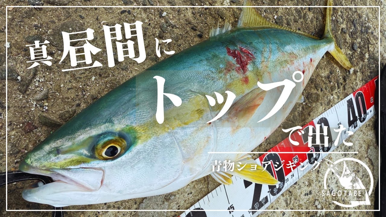 【ショアジギング】昼間のトップで出た価値ある一匹。