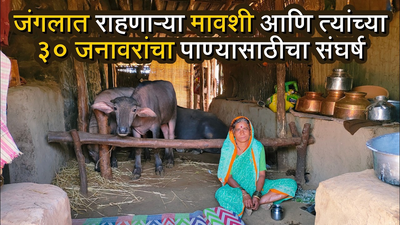 उंच माळरानावर, घनदाट जंगलात राहणारी आज्जी आणि तिच्या नातवाचे संघर्षमय जीवन | Village Life | Paayvata