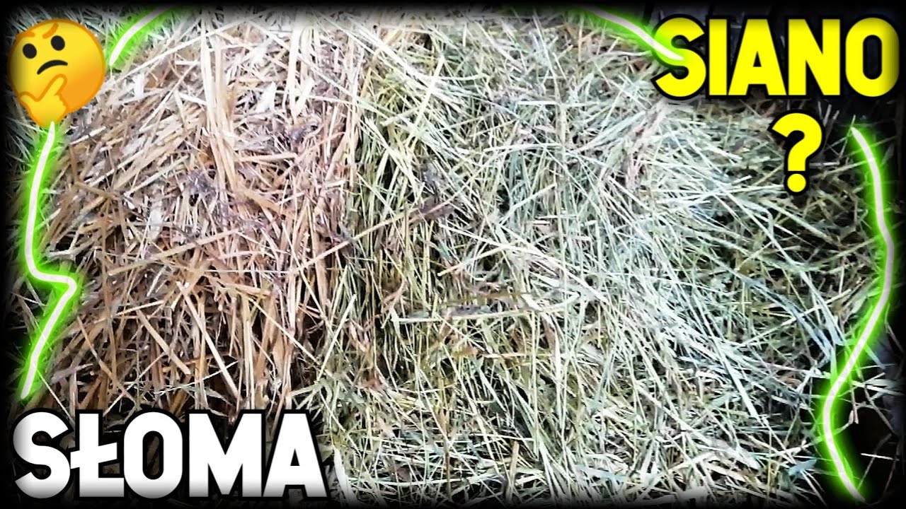 Ściółka - SŁOMA czy SIANO🌾?