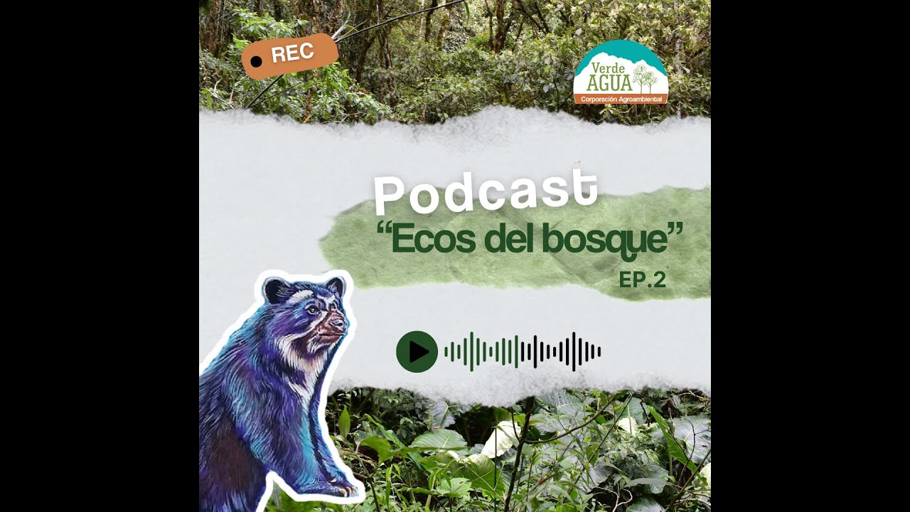 EP 2 Ecos del Bosque
