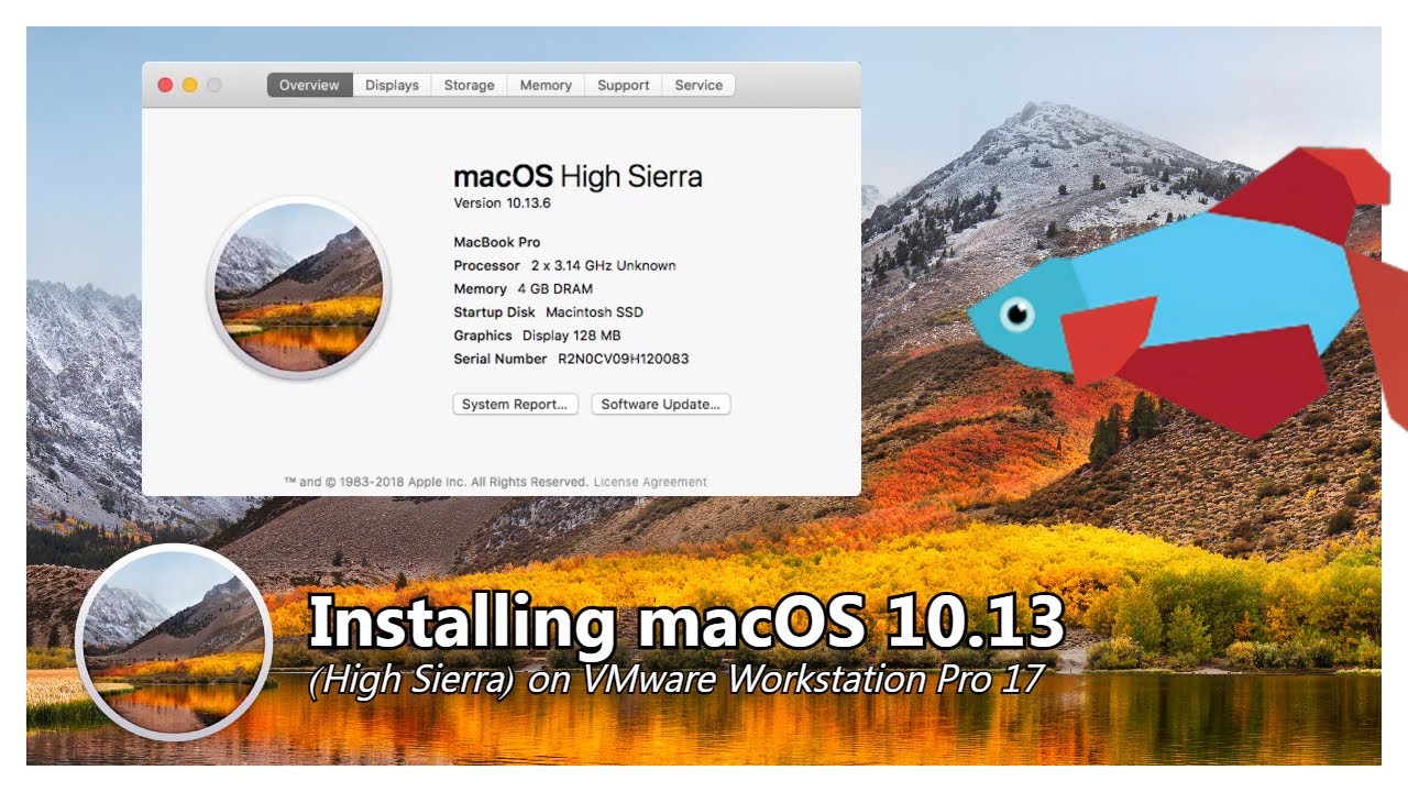 Installing macOS 10.13 High Sierra on VMware Workstation Pro 17