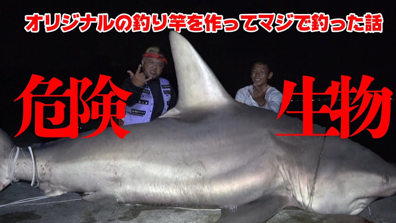 【釣れた!】200kg超えの巨大サメが現れる!壮絶ファイトの1週間