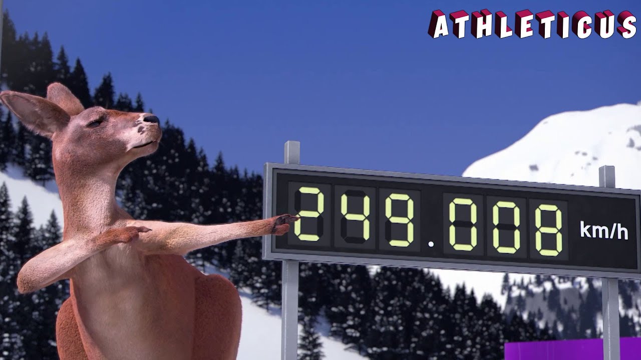 Who's the fastest? | Athleticus | Sport animals | Cartoon in English