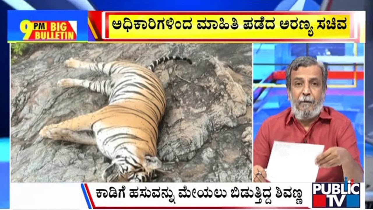 Big Bulletin With HR Ranganath | Tiger and Her Four Cubs Found Dead At Male Mahadeshwara Hills