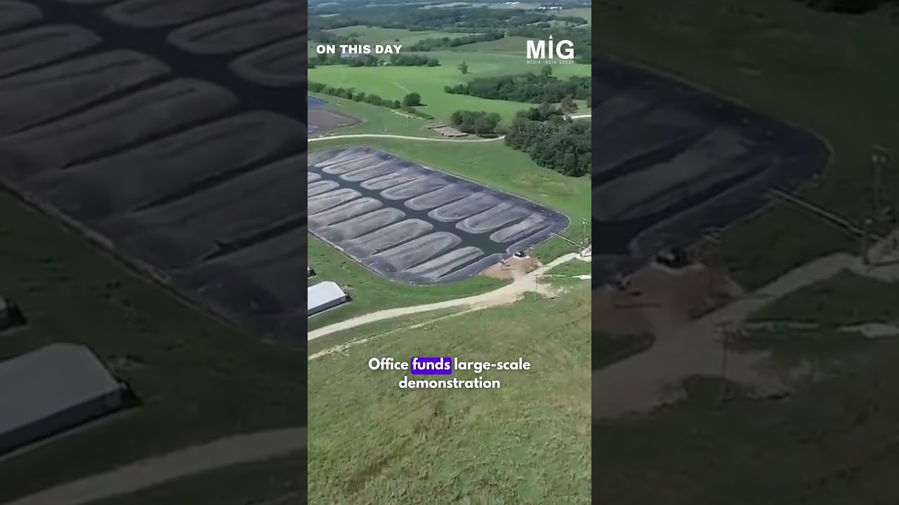 Algae Biofuel Revolution: Global Race for Sustainable Energy