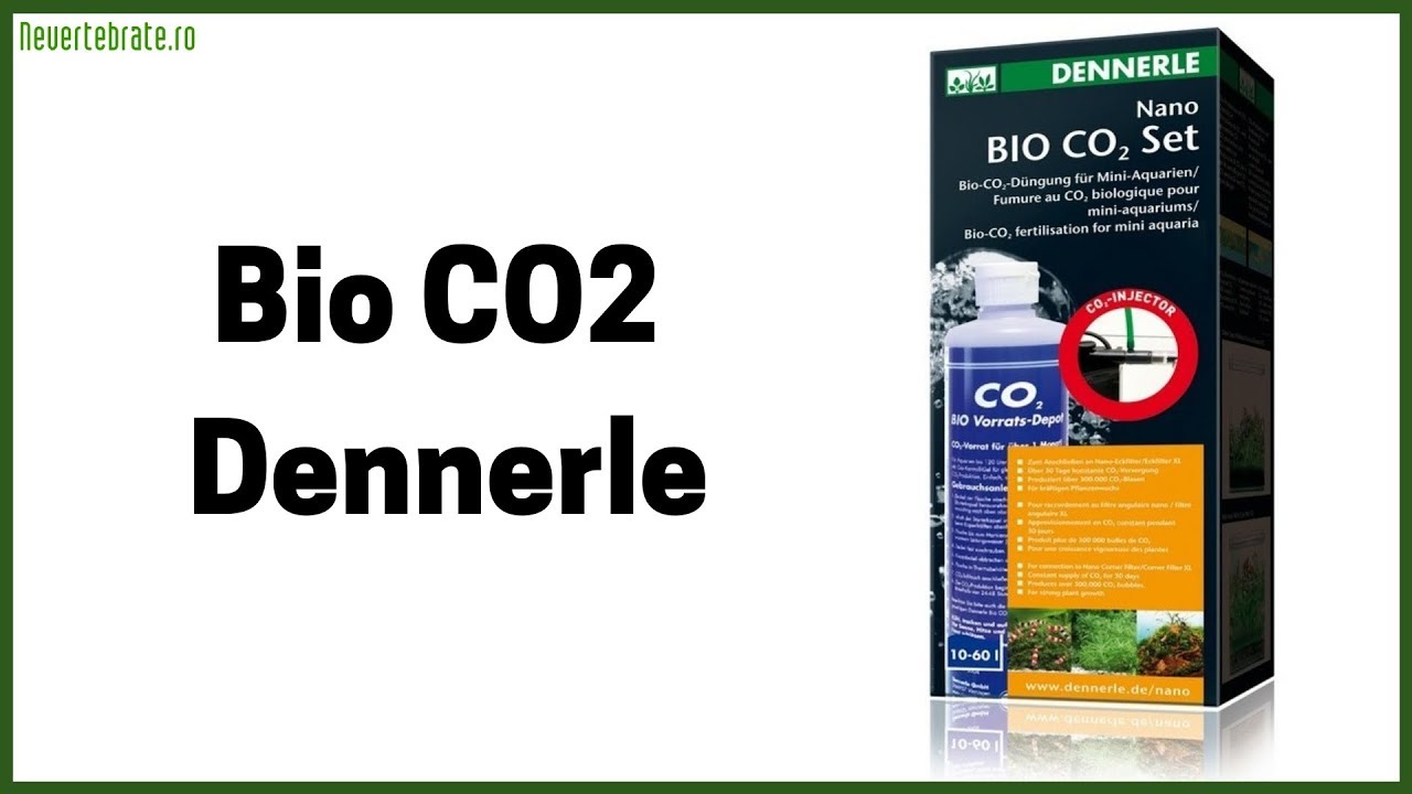 Bio CO2 Dennerle
