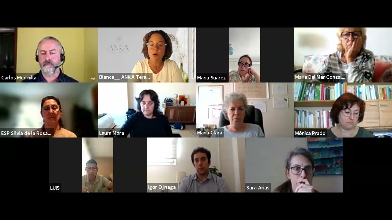 Psic&oacute;logos y terapeutas: Constelaciones + legal + marketing