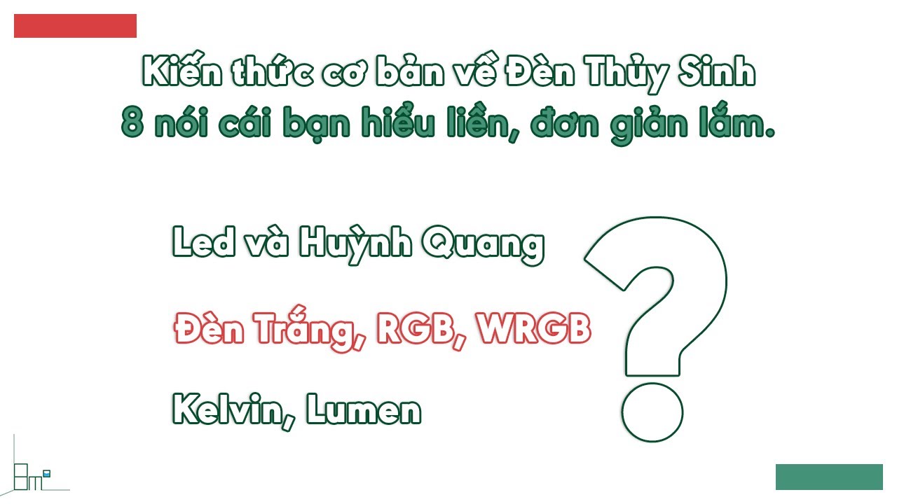 Kiến Thức Cơ Bản Đèn Thủy Sinh. Đèn Trắng - RGB - WRGB là gì? Kelvin và Lumen là gì? - 8m2