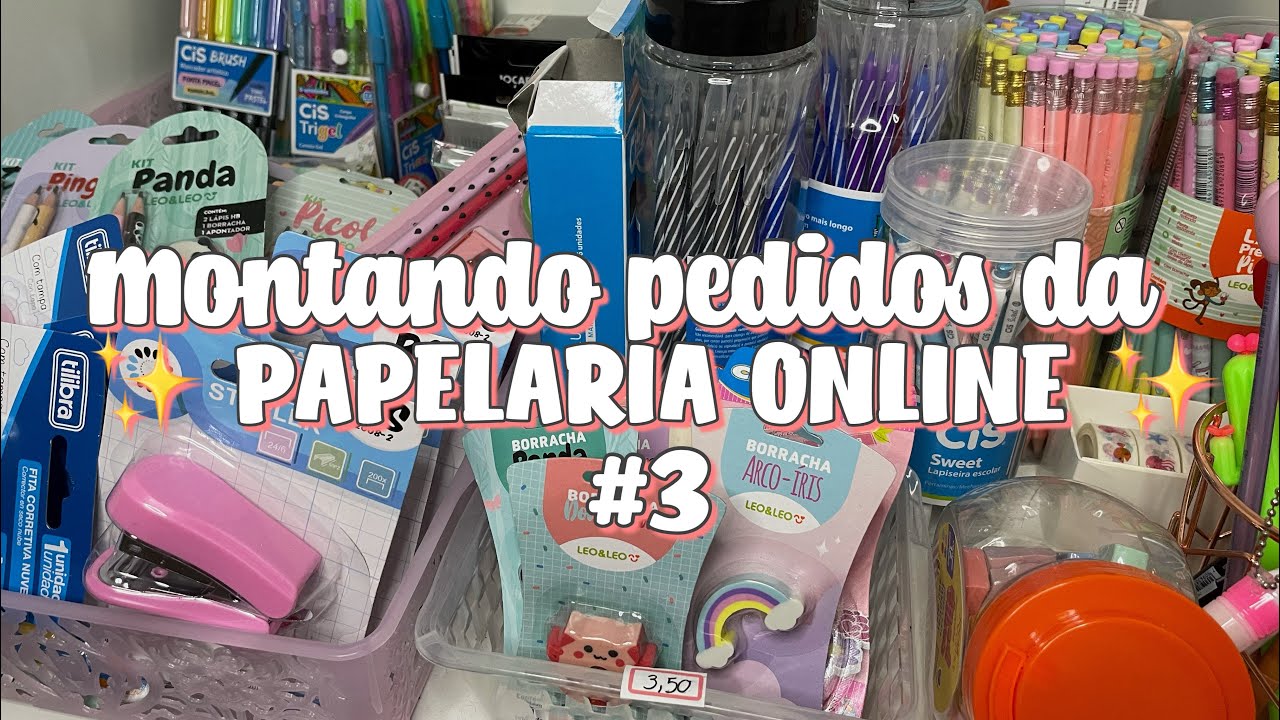 SEPARANDO PEDIDOS DA MINHA PAPELARIA ONLINE | diário da lojinha