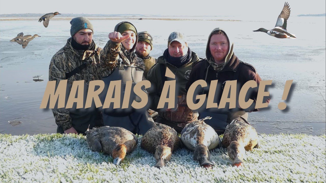Marais à Glace !