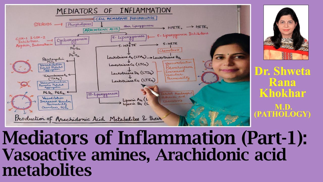 Mediators of Inflammation (Part-1): Vasoactive amines, Arachidonic acid metabolites