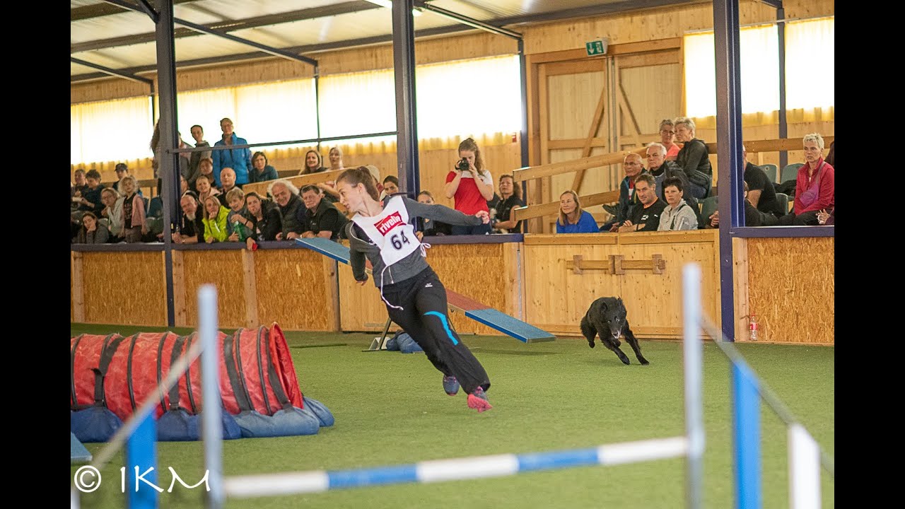 Clash Folly .:. Agility compilation 2019 [Agility]