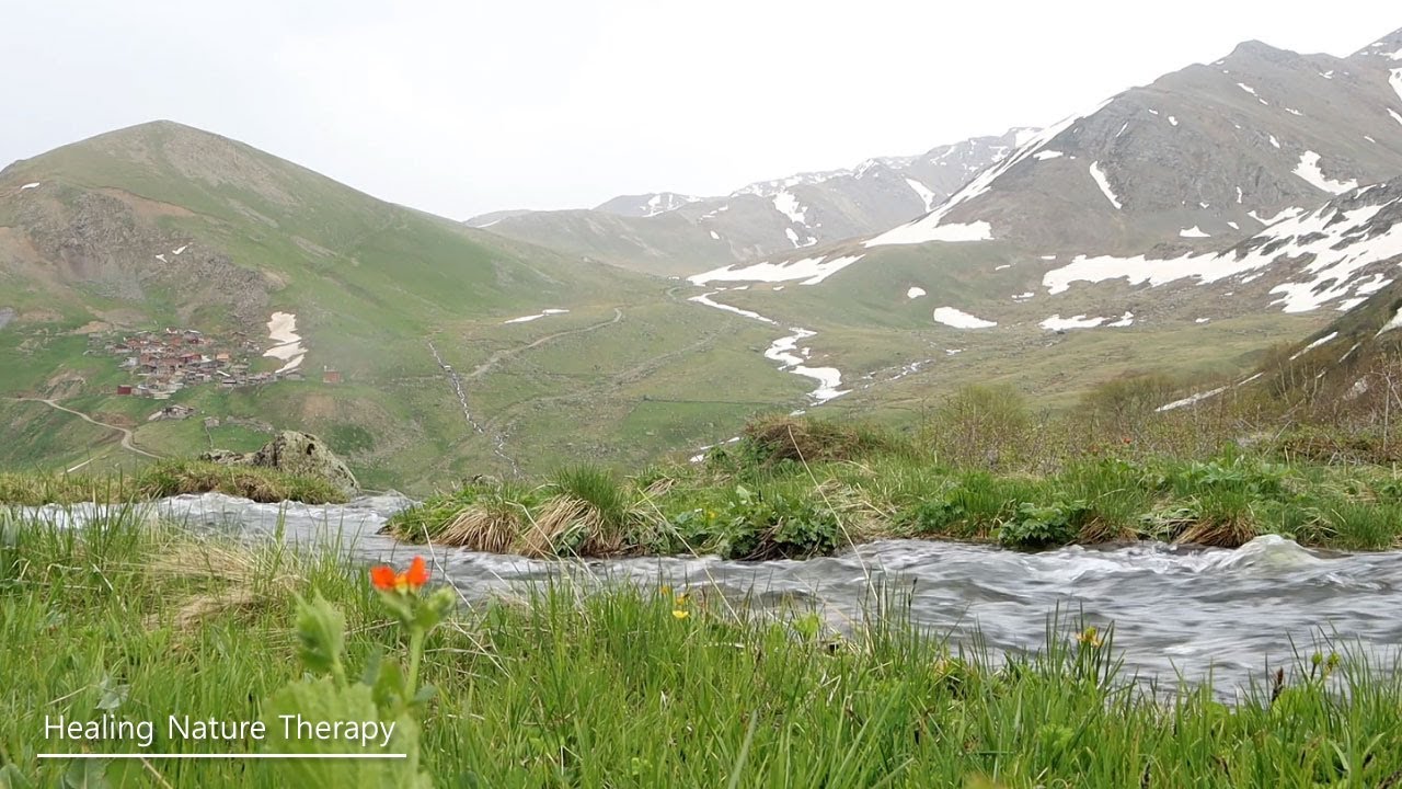 맑은 계곡과 푸른 산, 자연이 선사하는 힐링 풍경. The comfortable melody of nature at the foot of a blue mountain.