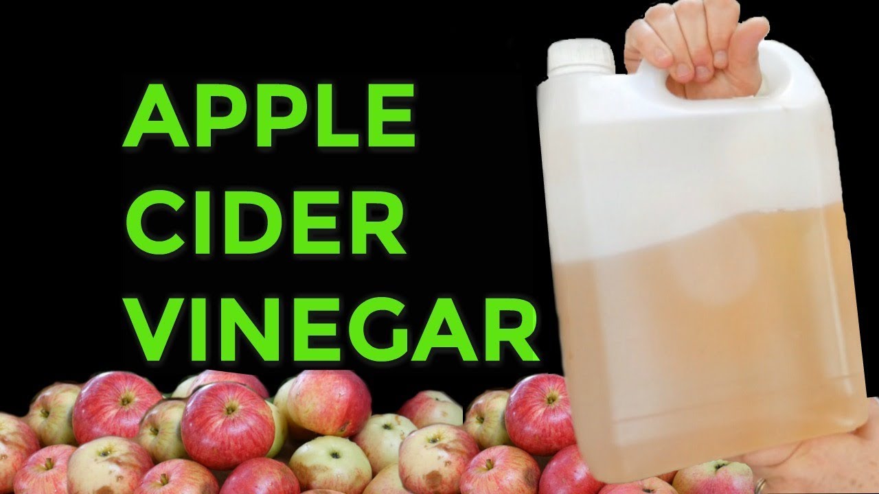 APPLE CIDER VINEGAR How to make ACV from apple scraps (2018)