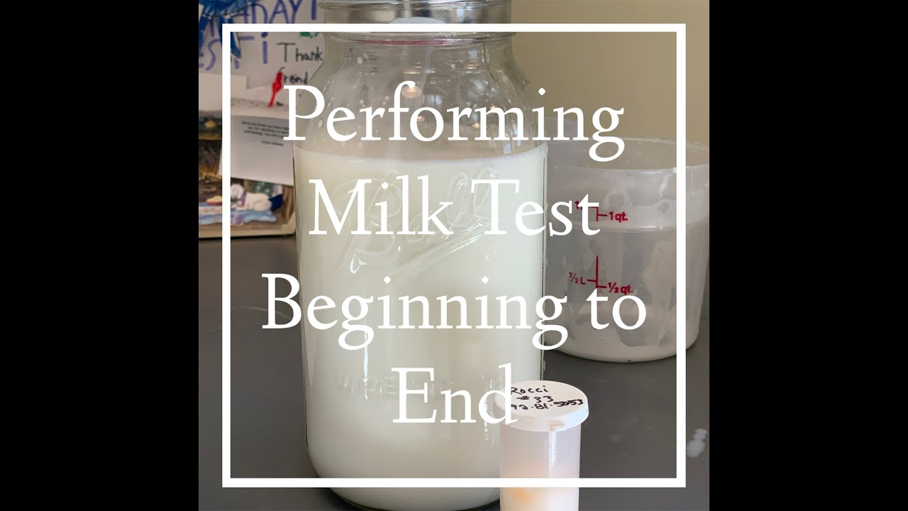 Our DHI Milk Test Day Beginning to End