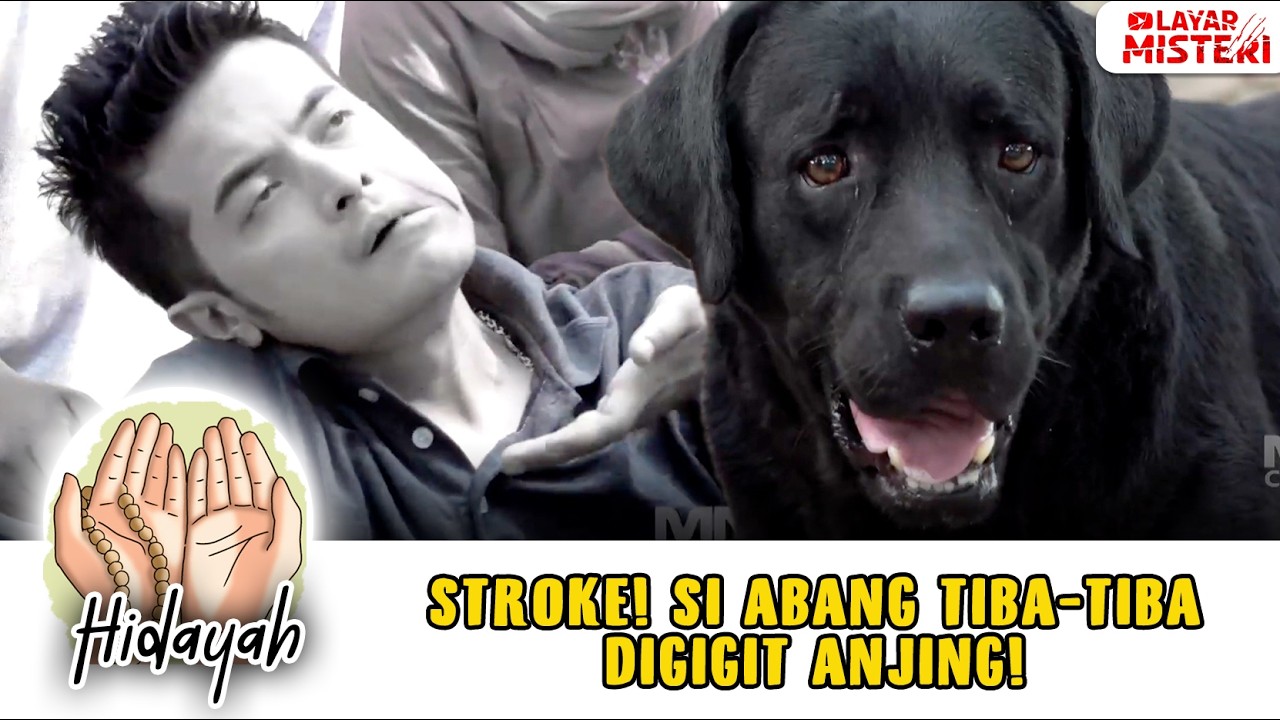 LAGI ASIK MAKAN AYAM, ABANG-ABANG STROKE DIGIGIT ANJING! | CAHAYA HATI