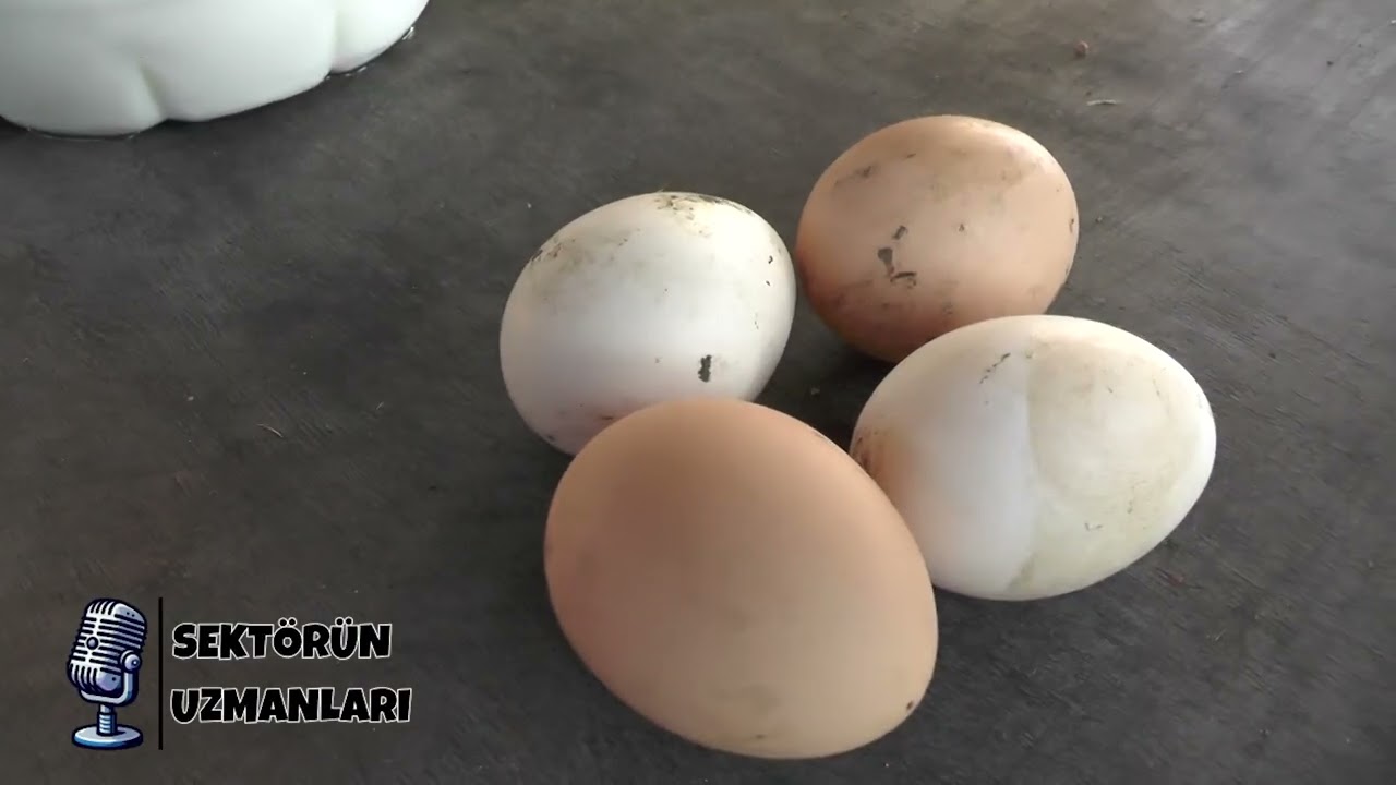 ZABUNOĞLU ADAK KURBAN - SEKTÖRÜN UZMANLARI