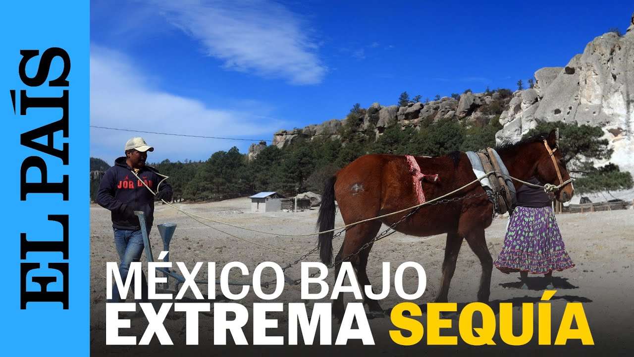 SEQUÍA se agudiza en el norte de MÉXICO | EL PAÍS