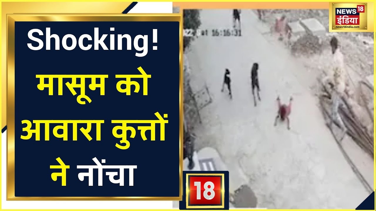 MP Bhopal : कुत्तों ने घेर कर किया 4 साल की बच्ची पर हमला | News18 India