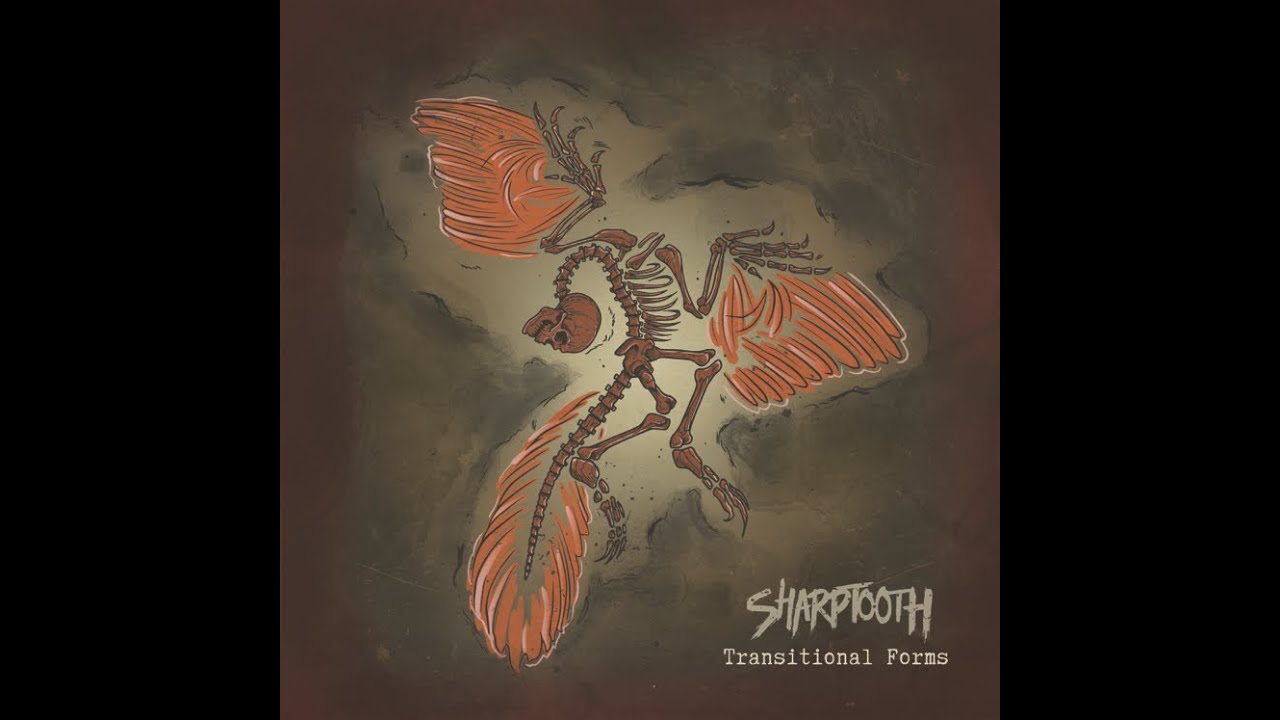 Travis Orbin - Sharptooth Session - 