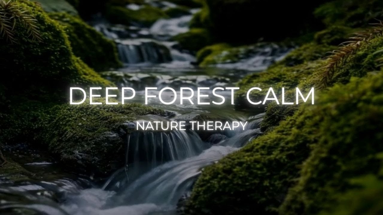 Relaxing Woodland River Ambience & Birdsong for Stress
