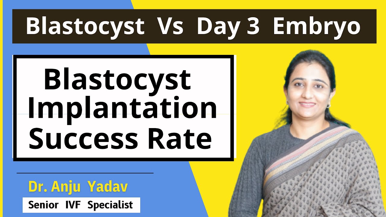 Blastocyst vs Day 3 Embryo l Blastocyst Implantation Success Rate l Dr Anju Yadav @vedafertility