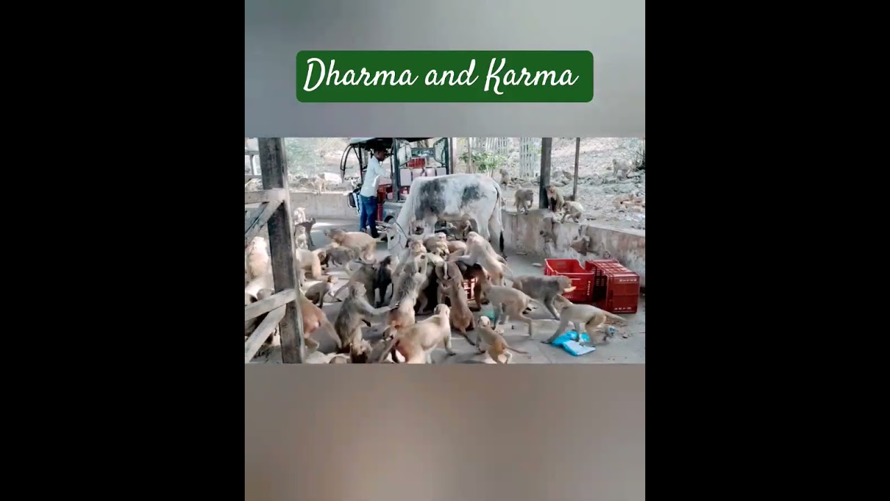 aaj ki party meri taraf se 