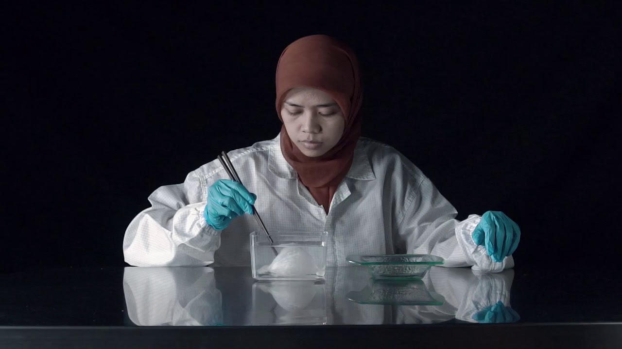 PT ESTA INDONESIA /company profile