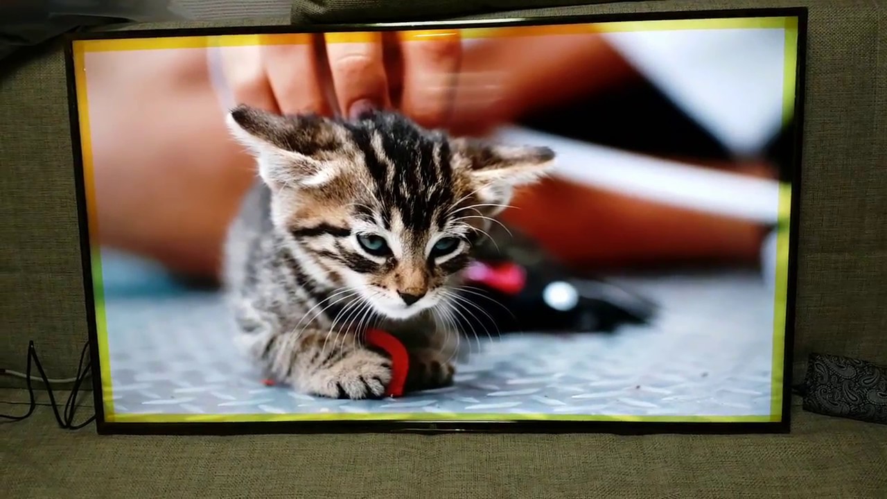 Телевизор Mi Tv 4а 50