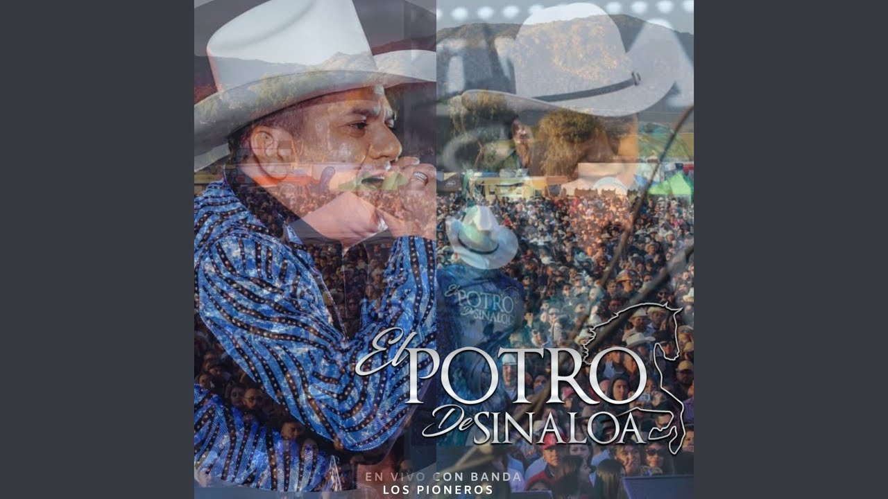 Palomas Que Andan Volando / Cariñito de Mi Vida (En Vivo)