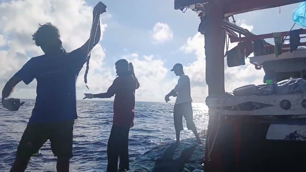 Keseruan Mancing ikan cakalang dilaut.